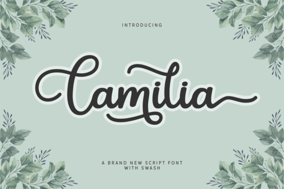 Camilia: The Bold Script Font for Campaigns That Need Charm and Clarity